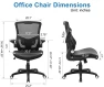 Thumbnail Ergonomic Desk Chair with Adjustable Lumbar Support and Flip-up Arms — Desk Chairs, X XISHE