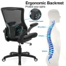 Thumbnail Ergonomic Desk Chair with Adjustable Lumbar Support and Flip-up Arms — Desk Chairs, X XISHE