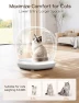 Thumbnail Self Cleaning Litter Box — Waste Bins, Meowant