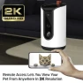 Thumbnail Smart Pet Treater with 2K Video Camera — Cameras & Monitors, Energizer