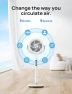 Thumbnail Smart Oscillating Pedestal Fan — Ceiling Fans, Dreo