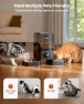 Thumbnail Cordless WiFi Automatic Cat Feeder for 2 Cats — Smart Pet Feeders, oneisall