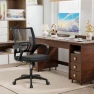 Thumbnail Ergonomic Office Chair — Desk Chairs, BestOffice