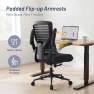 Thumbnail Office Desk Chair for Long Hours & Lower Back Pain Relief — Desk Chairs, QLTPLUS