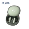 AI Conference Wireless Earbuds — In-Ear Headphones, iFLYTEK