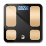 Smart Body Fat Scale — Weight Management Tools, BORO
