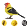 Electric Singing Bird Motion Sound Control Robot — Interactive Animal Companions, Qinhe