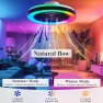 Thumbnail Smart Ceiling Fan with RGB Lights — Ceiling Fans, DIAMONDFORGE