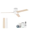 Thumbnail Smart Flush Mount Ceiling Fan with Lights — Ceiling Fans, Lorpies