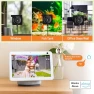 Thumbnail Window Camera for Home Security — Dome Surveillance Cameras, Heemketz