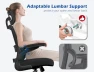 Thumbnail Ergonomic Office Chair with Adjustable Headrest and Lumbar Support — Desk Chairs, TRALT