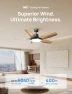Thumbnail Low Profile Ceiling Fan with Lights — Ceiling Fans, Dreo