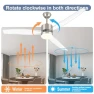 Thumbnail Smart Ceiling Fan with Light — Ceiling Fans, OKELI
