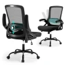 Thumbnail Ergonomic Office Chair with Adjustable Lumbar Support and Breathable Mesh — Desk Chairs, Nexthro
