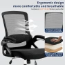 Thumbnail Ergonomic Office Chair with Adjustable Lumbar Support and Breathable Mesh — Desk Chairs, Nexthro