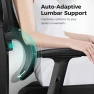 Thumbnail Ergonomic Office Chair — Desk Chairs, ALLGOD