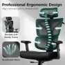Thumbnail Ergonomic Office Chair — Desk Chairs, ALLGOD
