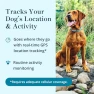 Thumbnail Smart GPS and Activity Pet Tracker for Dogs — Trackers, Petivity