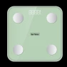 Smart Body Fat Scale — Smart Scale, Little Bear