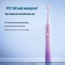 Smart Sonic Electric Toothbrush — Electric Toothbrush, FLYCO
