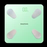 Smart Body Fat Scale with App — Smart Scale, Xiangshan