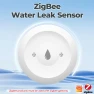 Smart Water Leak Detector — Water Shut Off Valve, Bloom Habitat