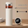 Smart Temperature Display Stainless Steel Tea Infuser Mug — Smart Water Bottle, Shangqi