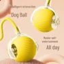 Smart Interactive Dog Toy Ball — Automatic Cat Toy, JDST online