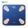 Smart Body Fat Scale — Smart Scale, Xiangshan
