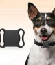 Mini GPS Tracker for Pets — Dog GPS Tracker, Darling Home