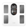 Smart Body Fat Scale — Smart Scale, ICOMON