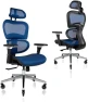 Thumbnail Ergonomic Office Chair with Lumbar Support, Adjustable Armrests, Headrest, and Wheels — Smart Chairs, Nouhaus