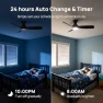 Thumbnail Smart Ceiling Fan with Lights — Smart Fan, Consciot