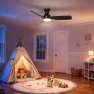 Thumbnail Smart Ceiling Fan with Lights — Smart Fan, Consciot