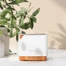 Thumbnail Smart WiFi Essential Oil Diffuser with Humidifier — Essential Oil Diffuser, ASAKUKI