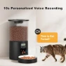 Thumbnail Automated Cat Feeder with Single Bowl — Automatic Pet Feeder, Miaosical