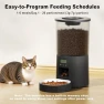 Thumbnail Automated Cat Feeder with Single Bowl — Automatic Pet Feeder, Miaosical