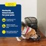 Thumbnail Automatic Cat Feeder — Automatic Pet Feeder, PetSafe