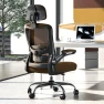 Thumbnail Ergonomic Office Chair — Smart Chairs, Zeonsit