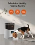 Thumbnail Automatic Pet Feeder — Automatic Pet Feeder, WOPET