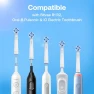 Thumbnail Rotating Electric Toothbrush with 8 Brush Heads — Electric Toothbrush, Bitvae
