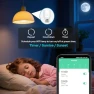 Thumbnail Smart Wi-Fi Light Bulb Socket Adapter — Smart Light Bulb, LoraTap