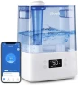 Thumbnail Large Room Cool Mist Humidifier with Essential Oil Diffuser — Humidifier, LEVOIT
