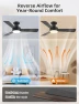 Thumbnail RGB Ceiling Fan with Light — Smart Fan, Homlit
