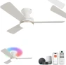 Thumbnail RGB Ceiling Fan with Light — Smart Fan, Homlit