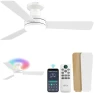 Thumbnail RGB Ceiling Fan with Light — Smart Fan, Homlit