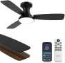 Thumbnail RGB Ceiling Fan with Light — Smart Fan, Homlit
