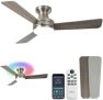 Thumbnail RGB Ceiling Fan with Light — Smart Fan, Homlit