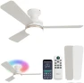 Thumbnail RGB Ceiling Fan with Light — Smart Fan, Homlit