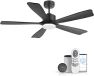 Thumbnail Smart Ceiling Fan with Lights — Smart Fan, GentleBreeze